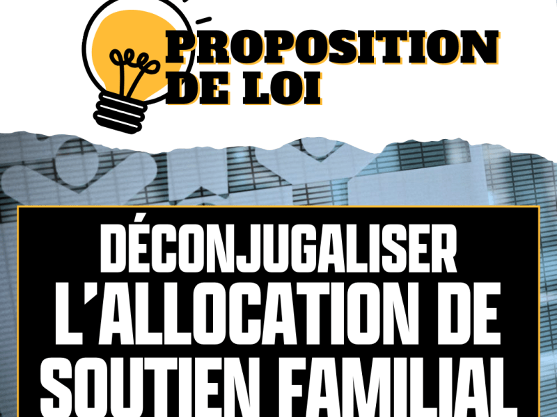 #PPL : Déconjugaliser l&rsquo;allocation de soutien&nbsp;familial