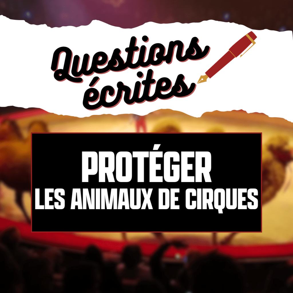 #QE : ANIMAUX DE&nbsp;CIRQUES